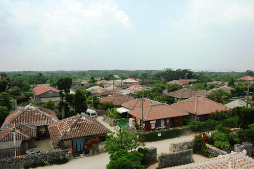 DSC_0226.JPG