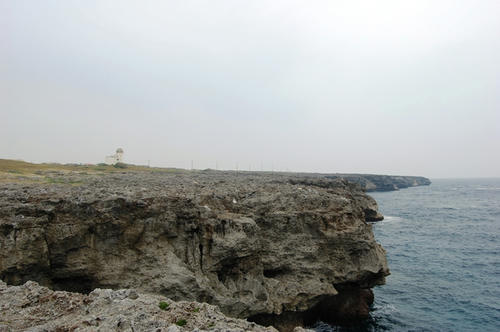 DSC_0389.JPG