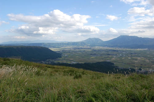 daikan.jpg