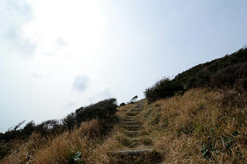 _DSC8107.JPG