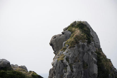 _DSC8174.JPG