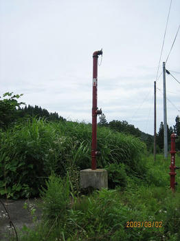 IMG_1105-1.JPG