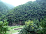 brog03.jpg