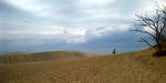 tottori2.jpg