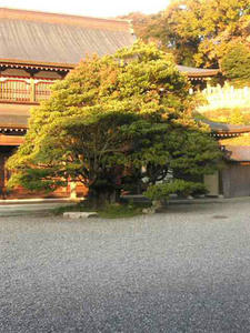 hikonehukei18.jpg
