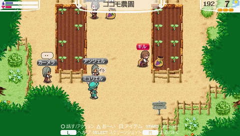 ココモの種まき
