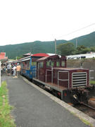 CIMG0729.JPG