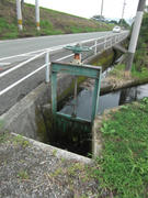 CIMG0767.JPG