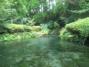 CIMG0802.JPG