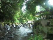 CIMG0780.JPG