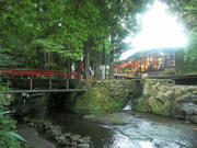 CIMG0781.JPG