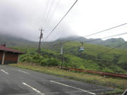 CIMG0908.JPG