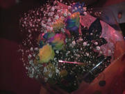 2008101023250000.jpg