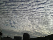 2008101216410001.jpg