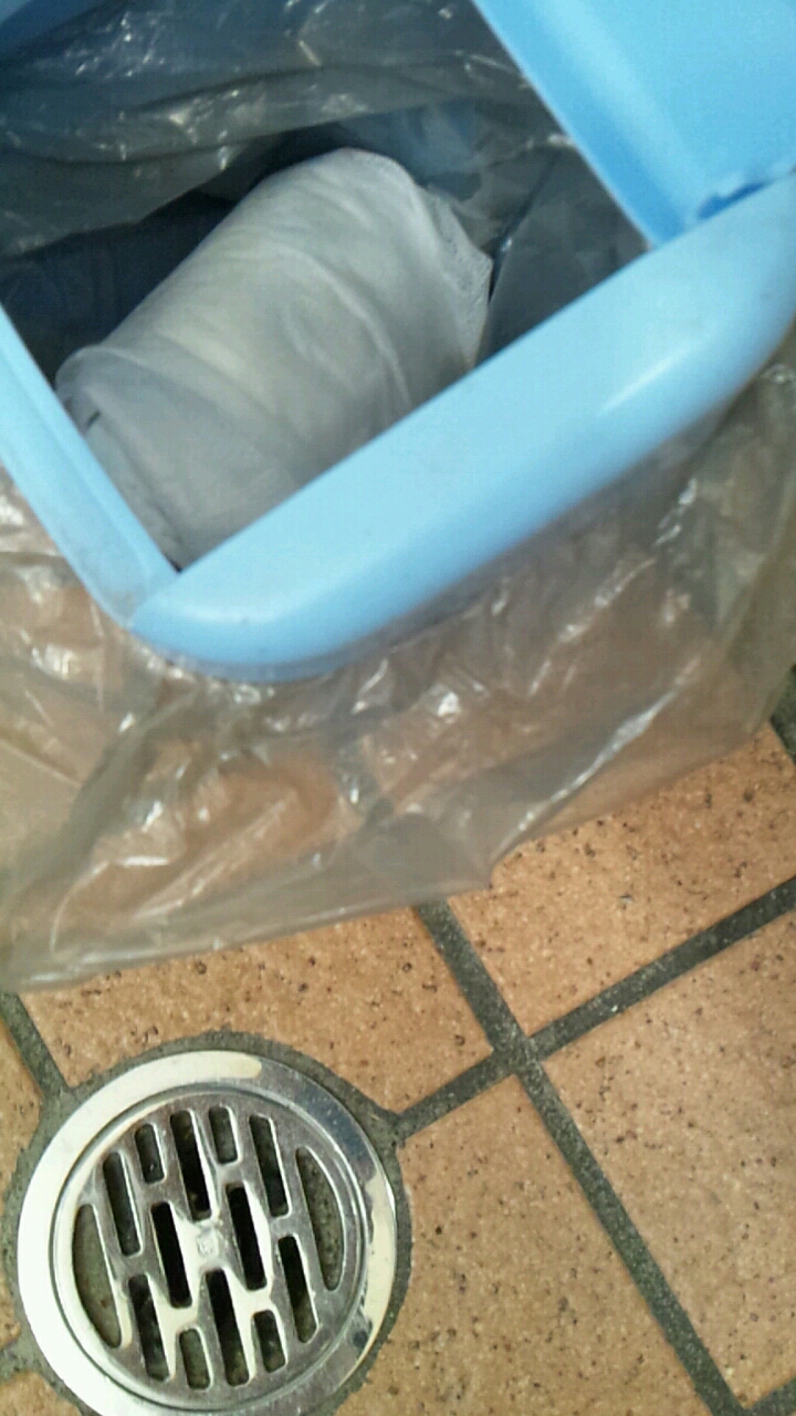 使用済み　オリシー 元職場｜猫