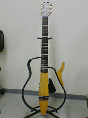 SA350063.JPG