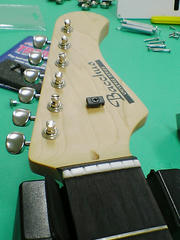 SA350170.JPG