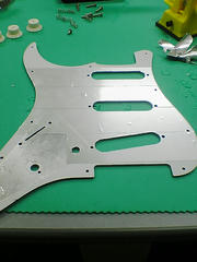 SA350173.JPG