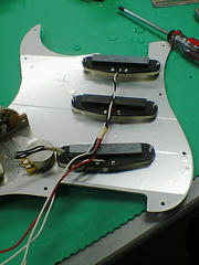 SA350175.JPG