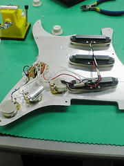 SA350177.JPG