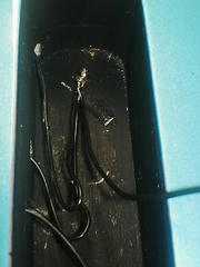 c17746f4.JPG