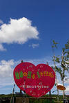 272-w200.jpg