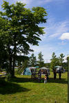 239-w200.jpg
