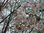 080-v400.jpg
