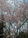081-v400.jpg