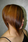 013-v400.jpg