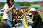 DH000103-v500.jpg