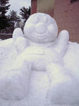 DSCN2786-v600.jpg