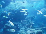 123-v400.jpg