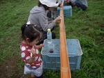 023-v300.jpg