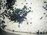 392a9332.jpeg