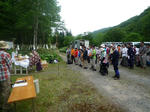 002-v500.jpg