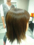 365-v500.jpg