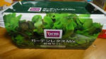 garden-w256.jpg