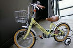 cycle1-w256.jpg