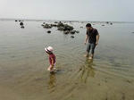umi-w256.jpg