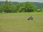 kusakari-w256.jpg