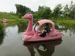 boat2-w256.jpg