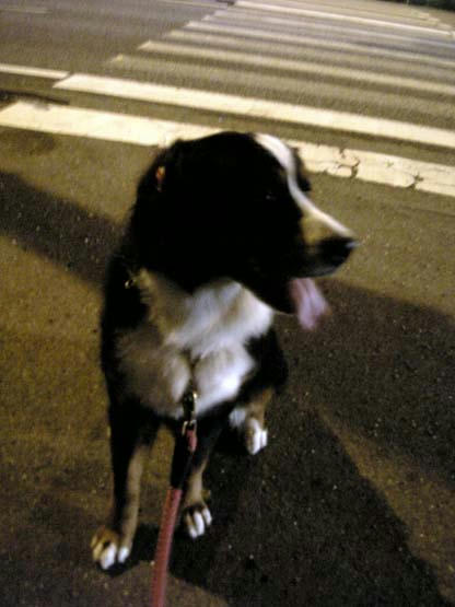 08062401.jpg
