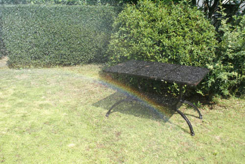08073002.jpg