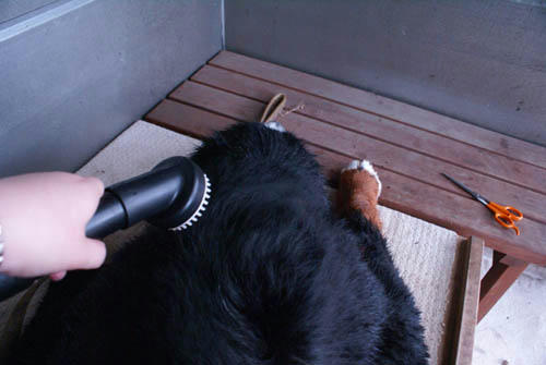 08080503.jpg