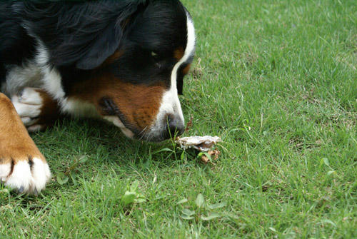 08090507.jpg