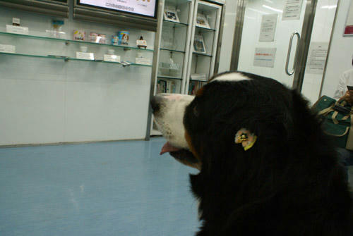 08090610.jpg