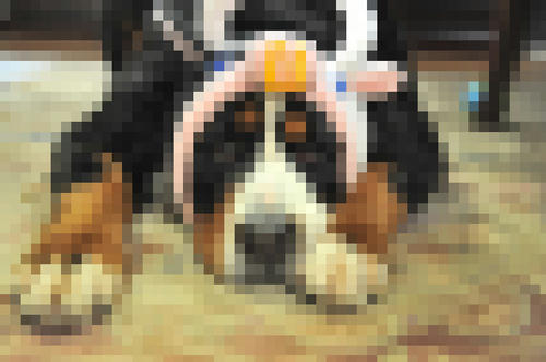 08112501.jpg