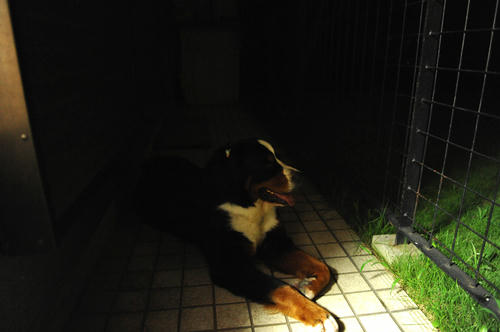 09072102.jpg
