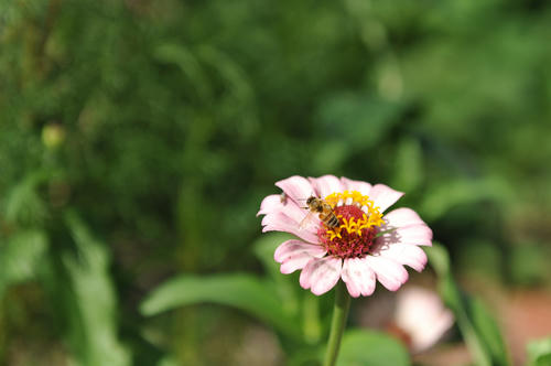 09080703.jpg